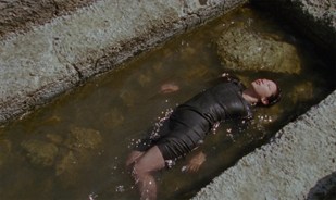 Eglės Budvytytės kūrinio gyva gyva-ta. Trikanalė kino instaliacija, suskaitmeninta 16 mm juosta, 4K projekcijos, 40 min. ©Eglė Budvytytė, 2026